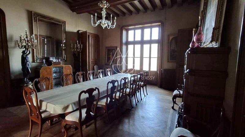 Château - 700 m² - 20 pièces