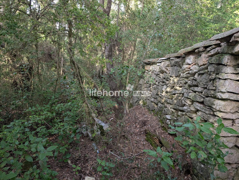 Terrain de loisirs - 3 920 m²