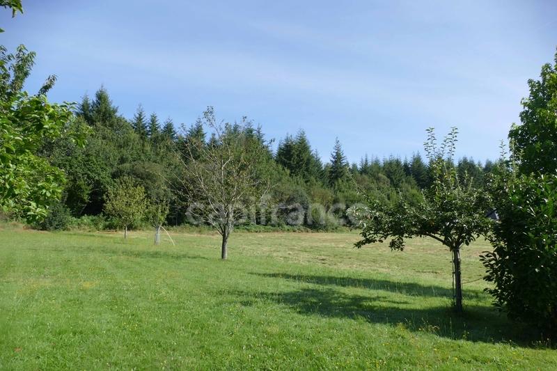 Maison - 30 m² - 2 pièces