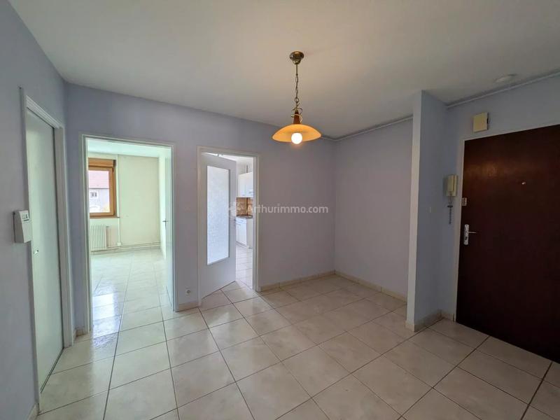 Appartement - 55 m² - 2 pièces