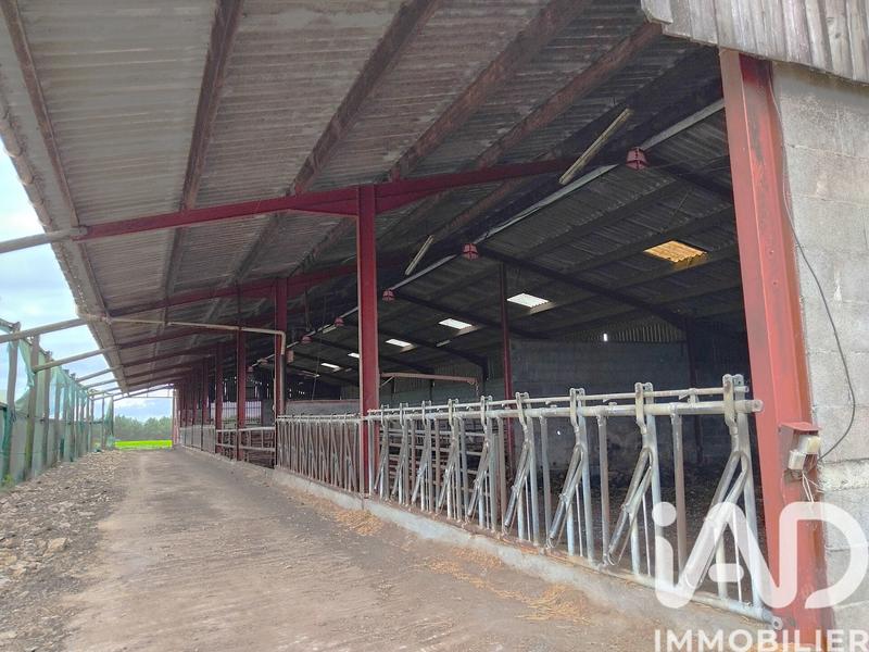 Terrain agricole - 6 850 m²