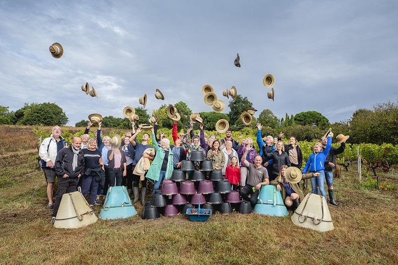 Journée vendanges au château Monconseil Gazin en Blaye Côtes de Bordeaux