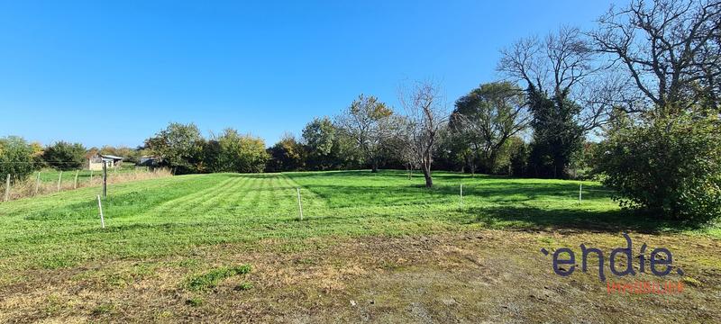 Maison - 136 m² - 5 pièces