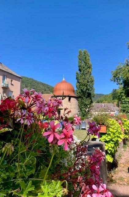 Visite guidée : le centre historique de Thann