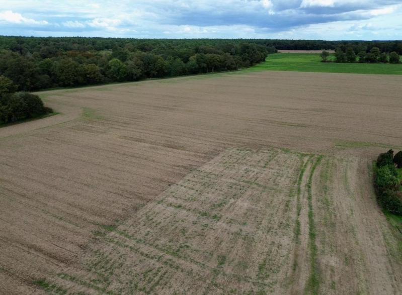 Terrain constructible - 805 m²