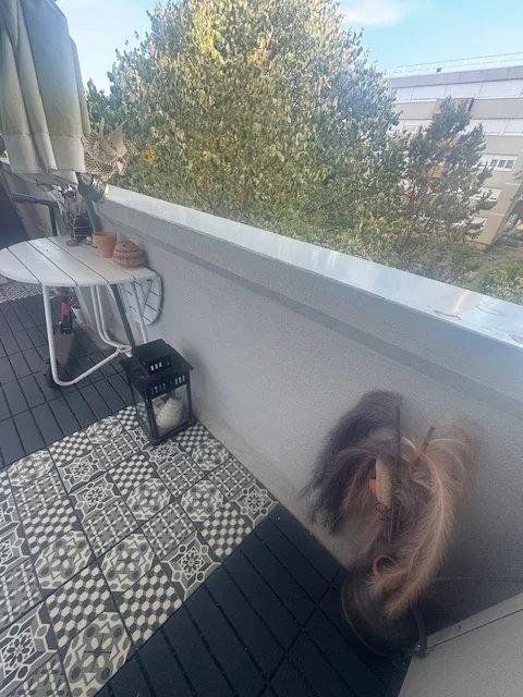 Appartement - 5 pièces