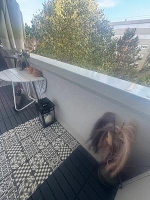 Appartement - 5 pièces