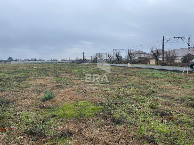 Terrain - 1 037 m²