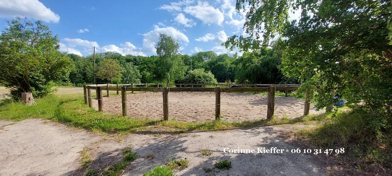 Haras - 300 m² - 4 pièces