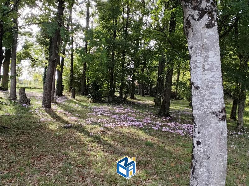 Maison ancienne - 212 m² - 6 pièces