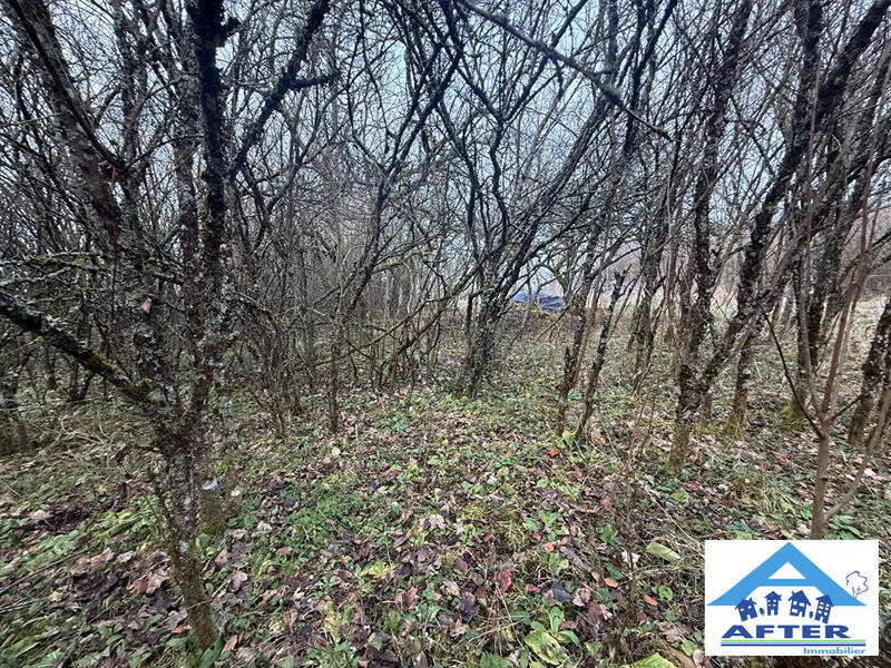 Terrain agricole - 1 485 m²