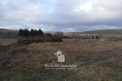 Terrain agricole - 1 162 m²