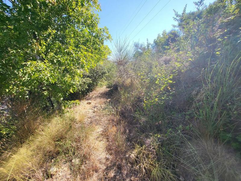 Terrain - 16 415 m²