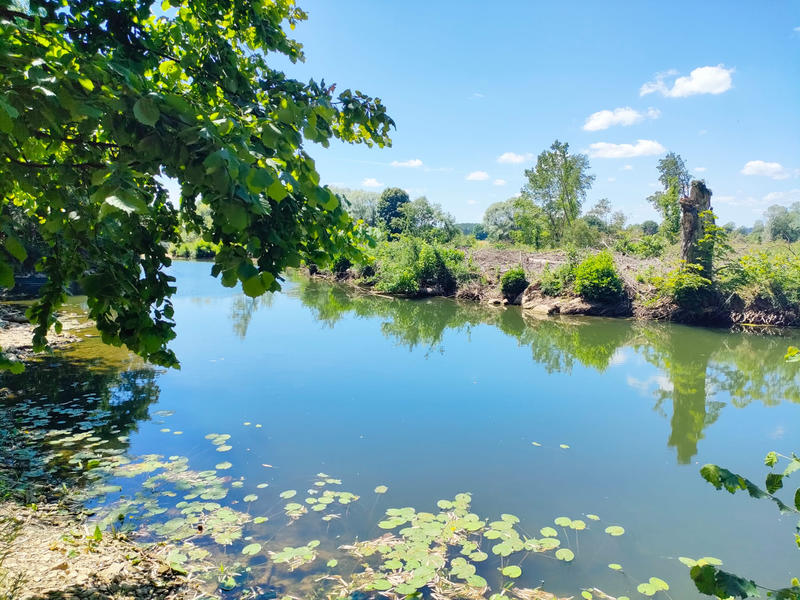 Maison - 233 m² - 9 pièces