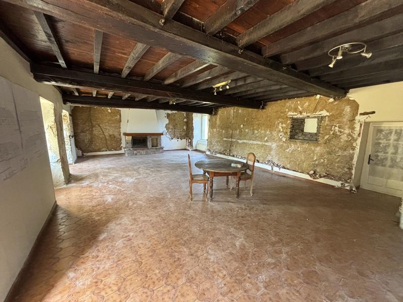 Maison ancienne - 458 m² - 11 pièces
