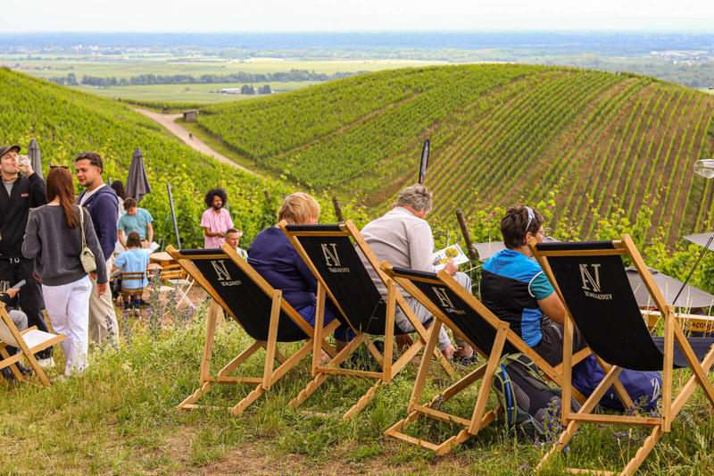 Alsace Rocks ! La Tournée des Terroirs - Etape #6
