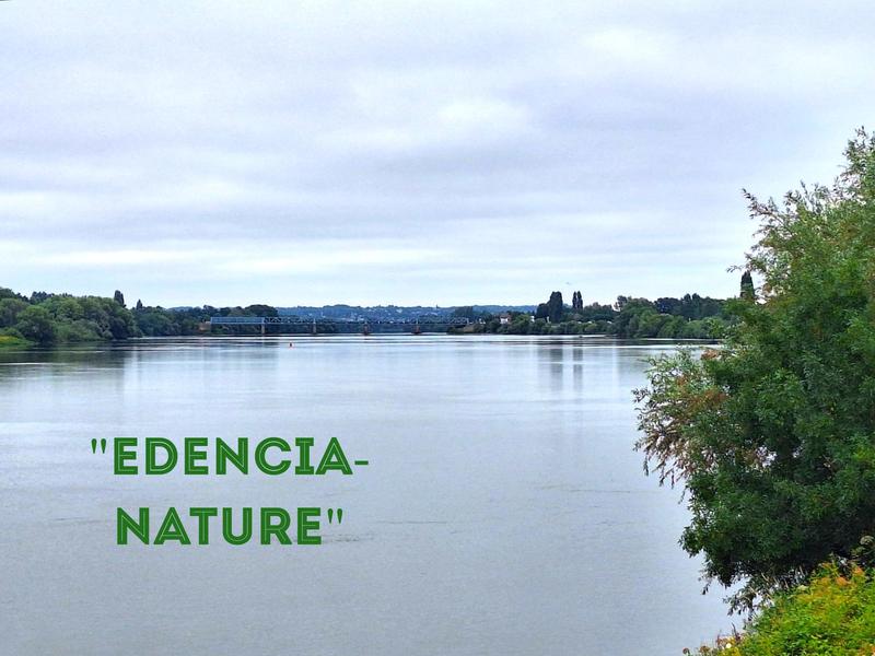 Maison - 134 m² - 7 pièces