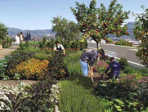 Appartement - 76 m² - 4 pièces