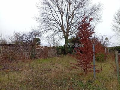 Terrain de loisirs - 659 m²