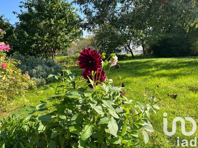 Maison - 142 m² - 7 pièces