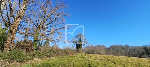 Terrain - 34 329 m²