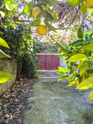 Maison - 260 m² - 6 pièces