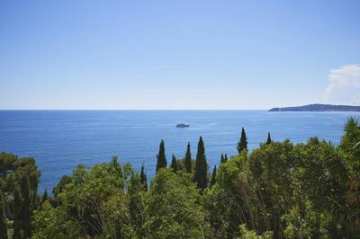 Villa - 350 m² - 7 pièces