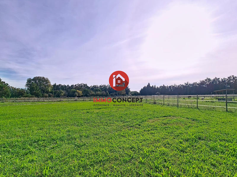 Maison ancienne - 165 m² - 6 pièces