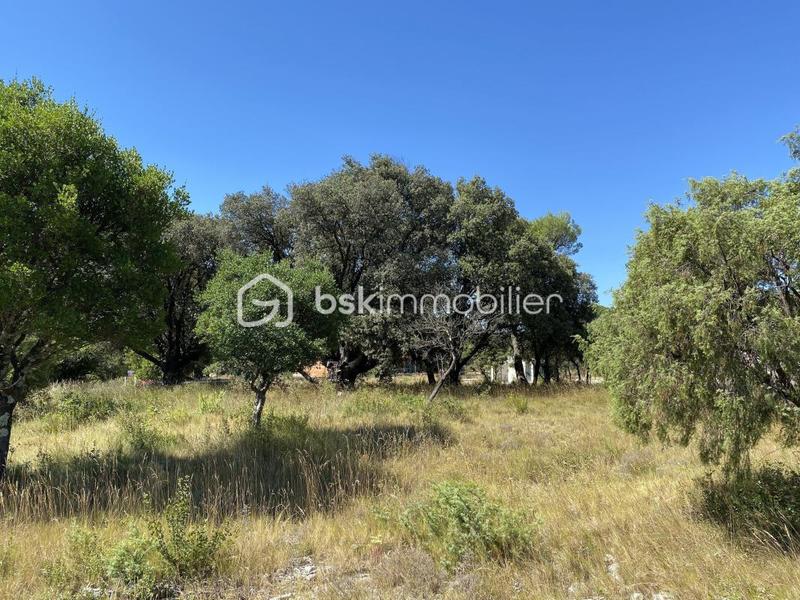 Terrain constructible - 1 504 m²