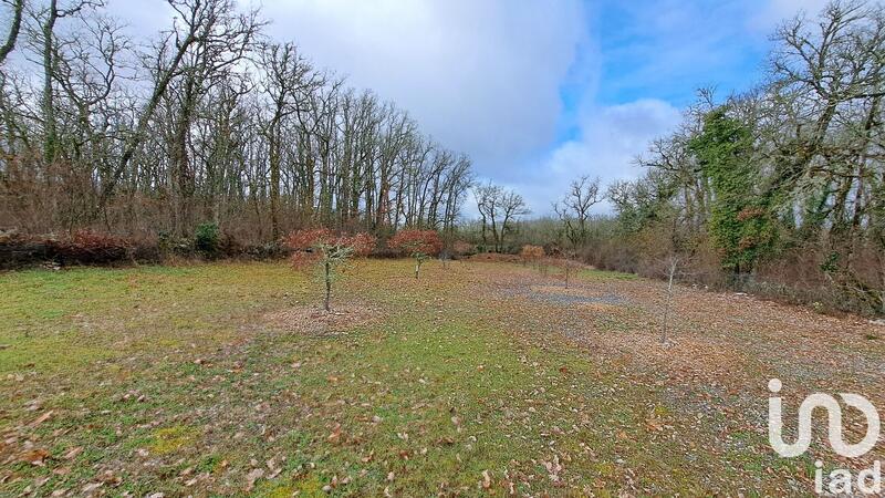 Terrain - 11 755 m²