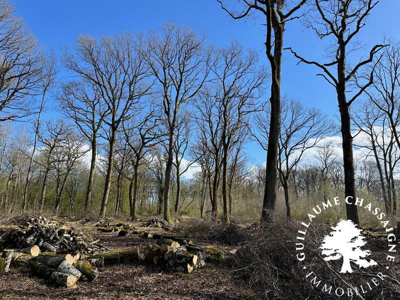 Terrain - 126 780 m²