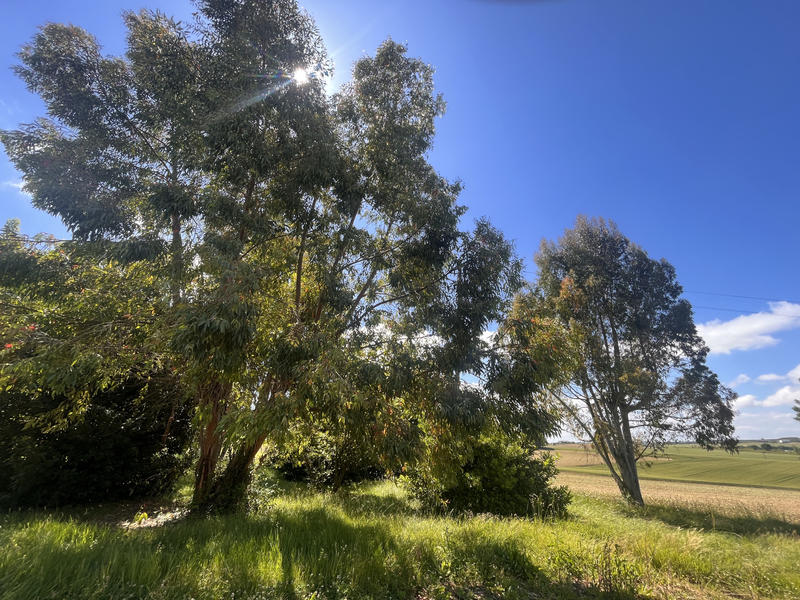 Maison - 130 m² - 4 pièces