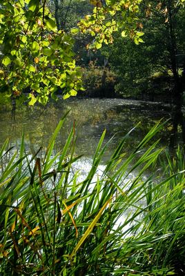 Entre Largue et canal