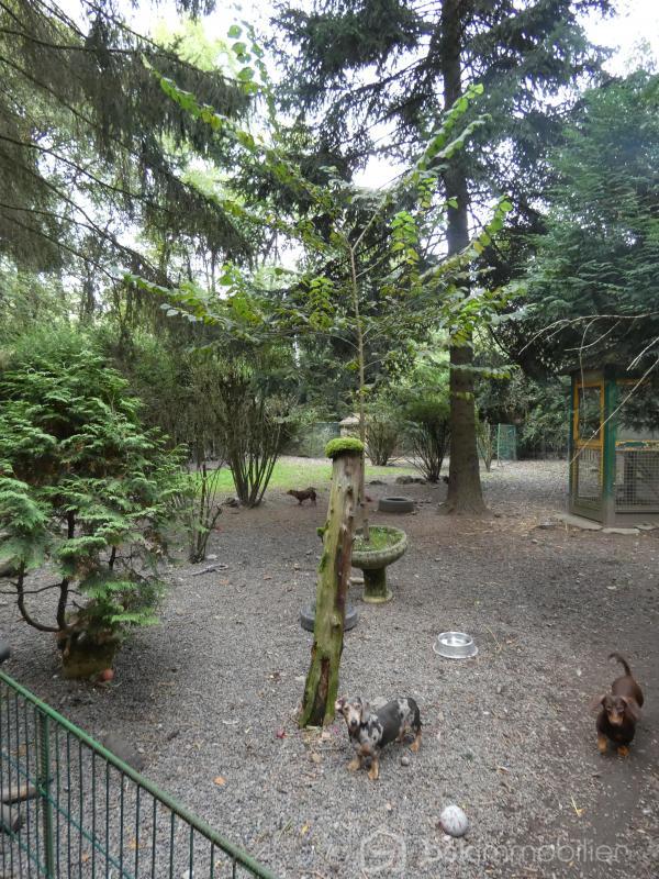 Maison ancienne - 186 m² - 8 pièces