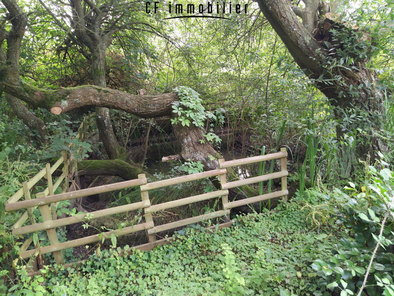 Maison - 50 m² - 3 pièces