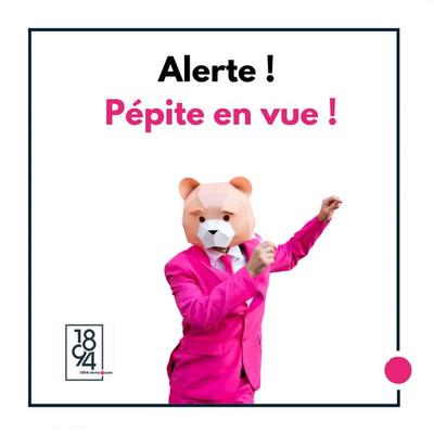 Studio - 15 m² - 1 pièce