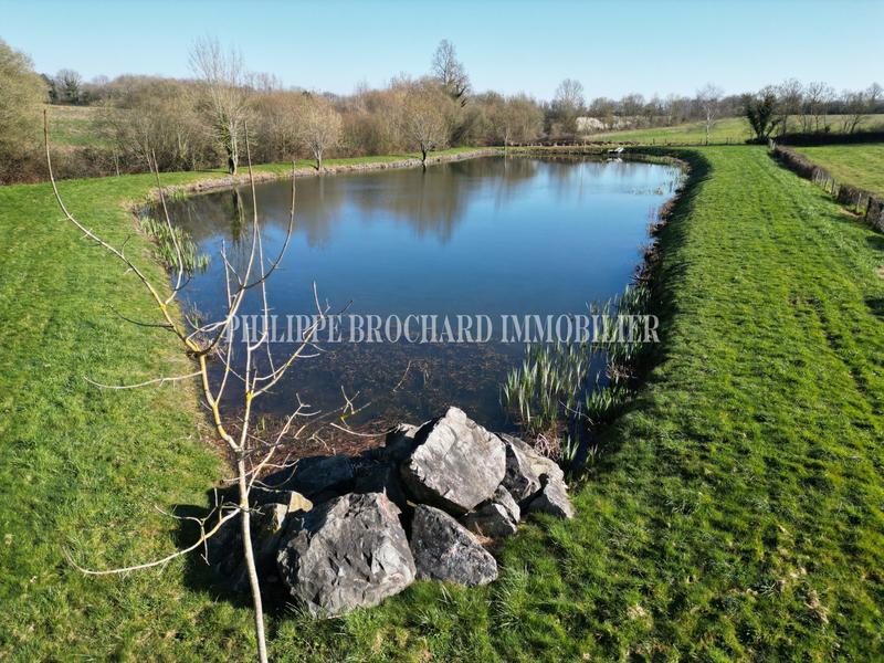 Terrain de loisirs - 6 000 m²