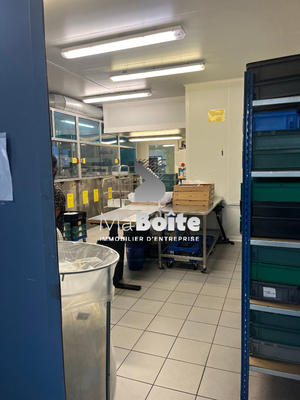 Local d'activité / Entrepôt - 2 590 m²