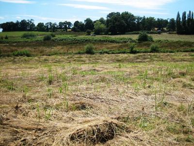 Terrain constructible - 2 850 m²