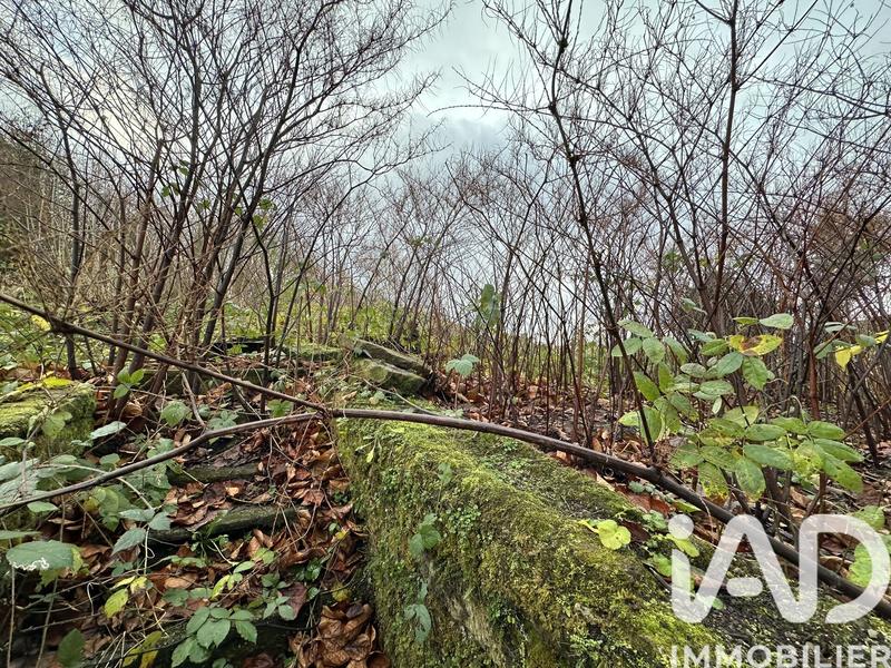 Maison - 280 m² - 10 pièces