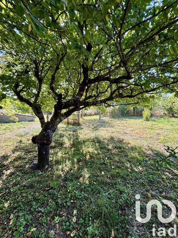 Maison - 245 m² - 12 pièces