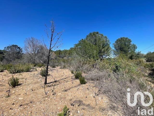 Terrain - 13 930 m²