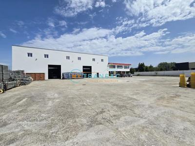 Local d'activités - 965 m²