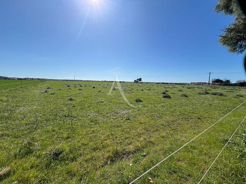 Maison - 124 m² - 5 pièces