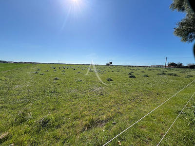 Maison - 124 m² - 5 pièces