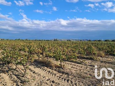 Terrain agricole - 29 000 m²