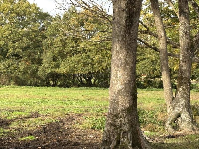 Maison de domaine équestre - 110 m² - 6 pièces