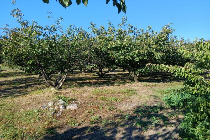 Terrain agricole - 7 121 m²