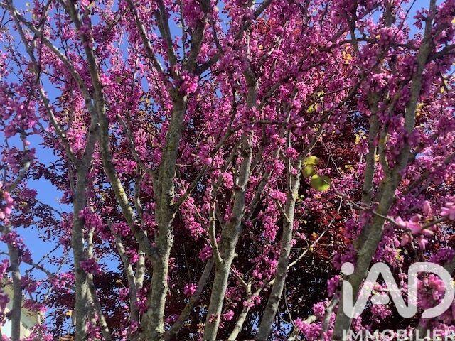 Maison - 190 m² - 9 pièces