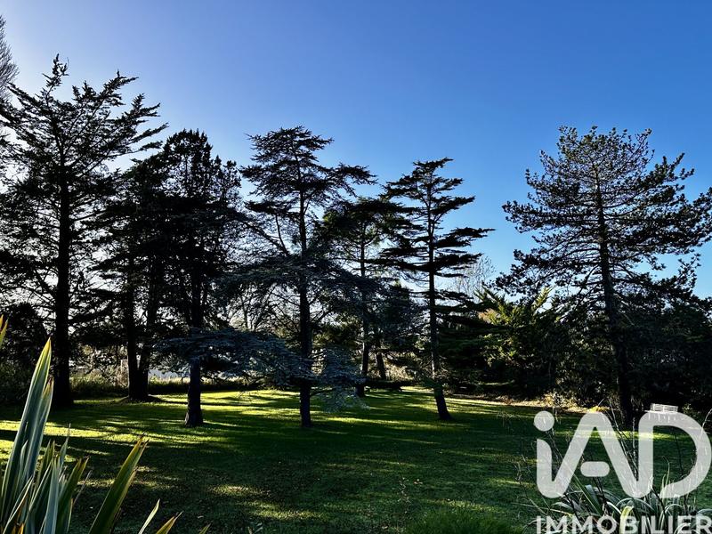 Maison de maîtres - 156 m² - 6 pièces